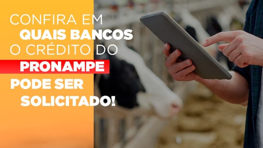 confira-em-quais-bancos-o-credito-pronampe-ja-pode-ser-solicitado