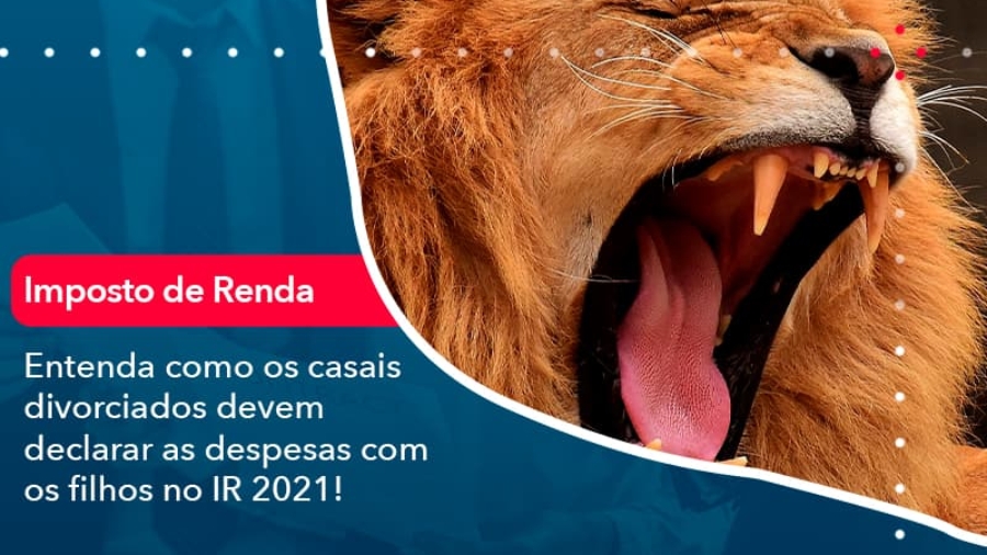 Entenda-como-os-casais-divorciados-devem-declarar-as-despesas-com-os-filhos-no-IR-2021-1