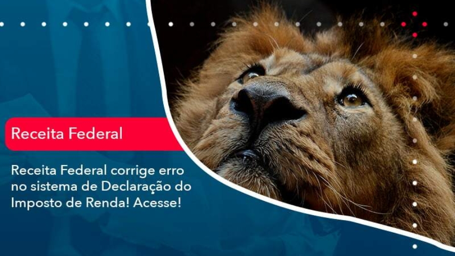 receita-federal-corrige-erro-no-sistema-de-declaracao-do-imposto-de-renda-acesse-1