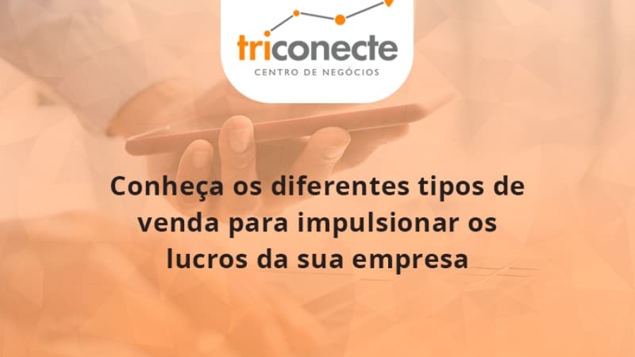 conheca-os-diferentes-tipos-de-venda-para-impulsionar-os-lucros-da-sua-empresa-triconect